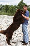 ADULTE ET CHIEN 249